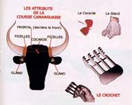 equipement