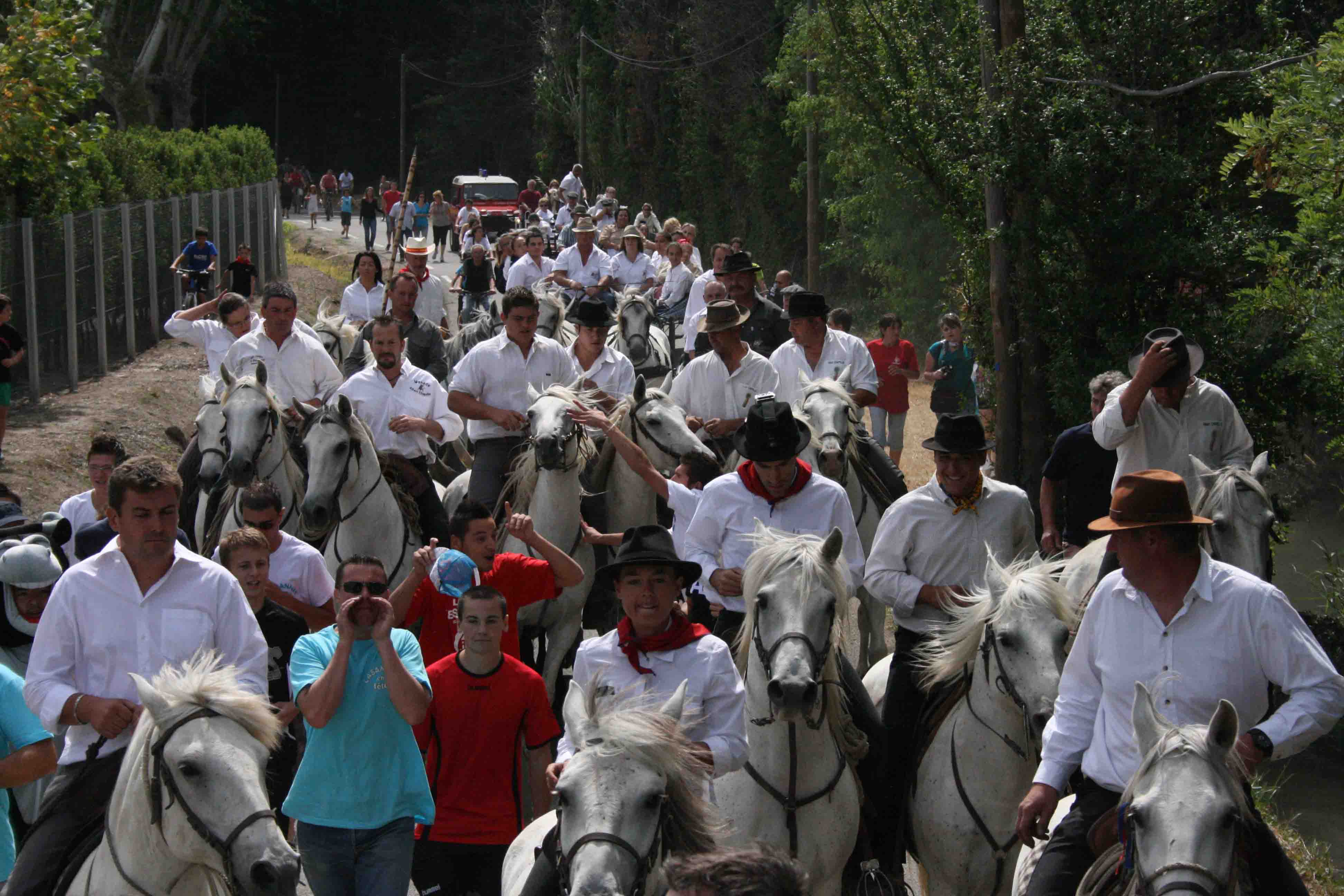 abrivado