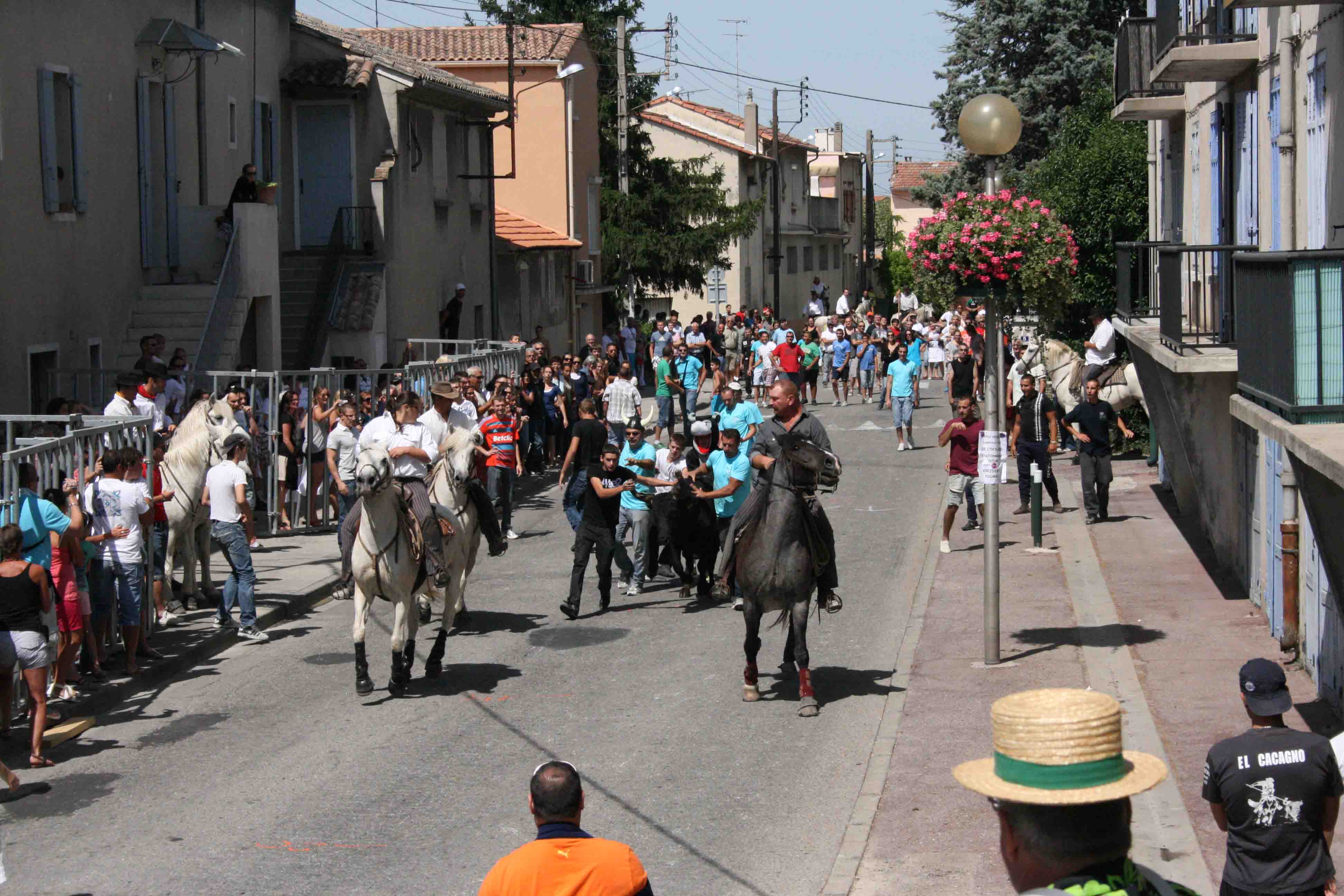 abrivado